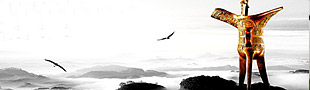 東岳機(jī)械集團(tuán)集團(tuán)框架